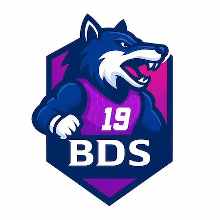 BDS PEM